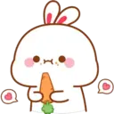 SoftBunny 7