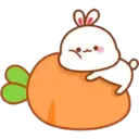 SoftBunny 9
