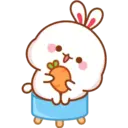 SoftBunny 14