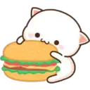 CutieCat 15