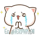 of
x
ES HERMOSO!!