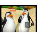 Pingüinos 28