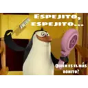 Pingüinos 7