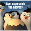 Pingüinos 19