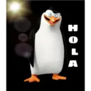 Pingüinos 15