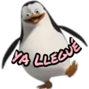 Pingüinos 4