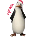 Pingüinos 16