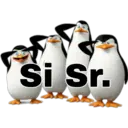 Pingüinos 20