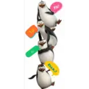 Pingüinos 1