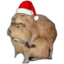 Navidad 21