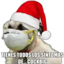 TIENES TODOS LOS SÍNTOMAS DE... COCKBIG