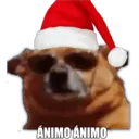 ÁNIMO ÁNIMO