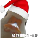 YA TE DORMISTE?