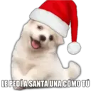 LE PEDÍ A SANTA UNA CÓMO TÚ
