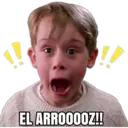 HOME ALONE 23