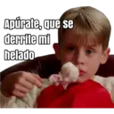 HOME ALONE 20