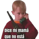 HOME ALONE 11