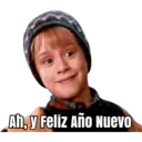 HOME ALONE 3