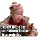 HOME ALONE 5