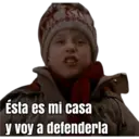 HOME ALONE 12