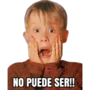 HOME ALONE 25