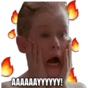 HOME ALONE 13
