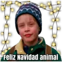 HOME ALONE 15
