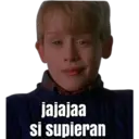 HOME ALONE 10
