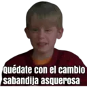 HOME ALONE 30
