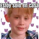 HOME ALONE 6
