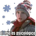 HOME ALONE 4
