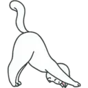 Gatita White 3 20