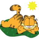 oddie y garfield 24