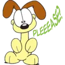 oddie y garfield 17