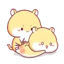 Hamster PangPang 15