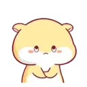 Hamster PangPang 10