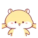Hamster PangPang 11