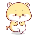 Hamster PangPang 13