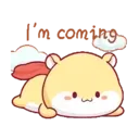 Hamster PangPang 1