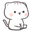 Gatito tierno 18