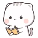 Gatito tierno 31