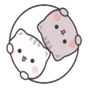 Gatito tierno 13