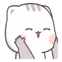 Gatito tierno 24