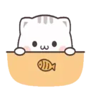Gatito tierno 2