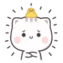 Gatito tierno 23