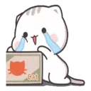 Gatito tierno 5
