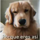 Porque eres asi