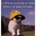 EL 90% DE CALCETINES NO TIENEN
PAREJA Y NO ANDAN CHILLANDO