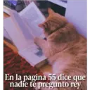 En la pagina 55 dice que
nadie te pregunto rey