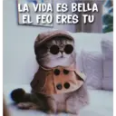 LA VIDA ES BELLA
EL FEO ERES TU